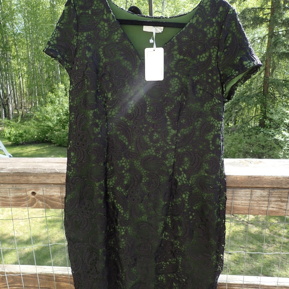 Adore Cocktail Dress in Black Lace